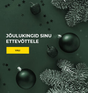 Jõulukingid sinu ettevõttele